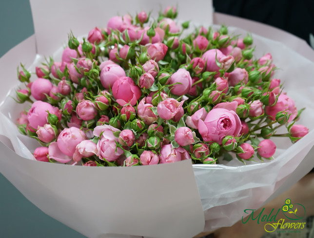 Bouquet of pink peony roses ''Summer Melody'' photo